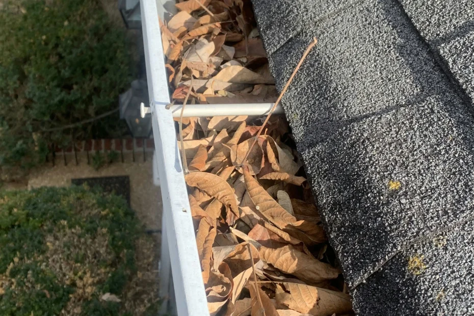 Gutter Cleaning Mableton